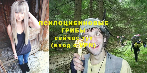 ПСИЛОЦИБИНОВЫЕ ГРИБЫ Нязепетровск