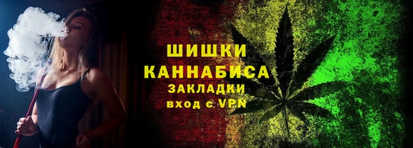 тгк Бородино