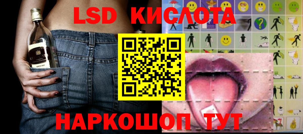 купить наркоту  Бердск  Марки NBOMe 1500мкг 