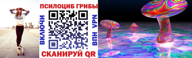 Псилоцибиновые грибы Psilocybine cubensis  Бердск 