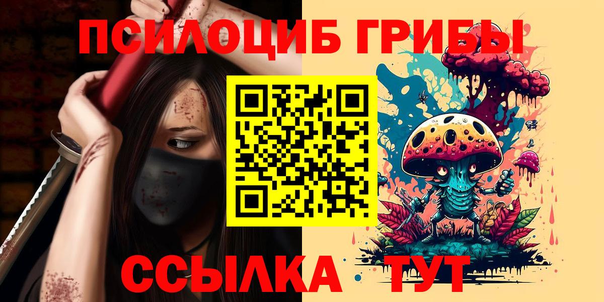 Псилоцибиновые грибы Magic Shrooms  Псилоцибиновые грибы Magic Shrooms  Бердск 