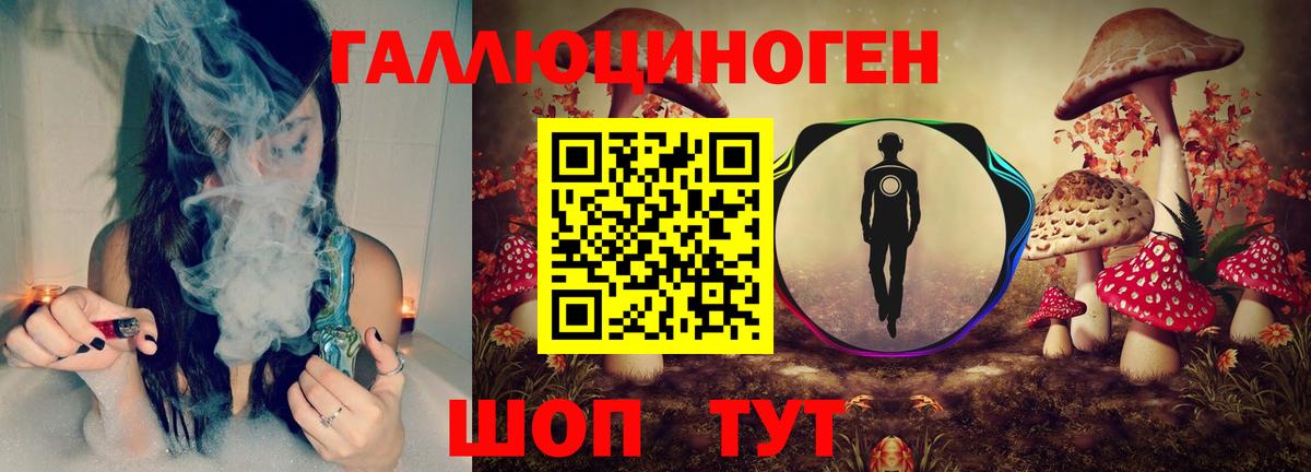 Псилоцибиновые грибы GOLDEN TEACHER  Вход с VPN  Бердск 